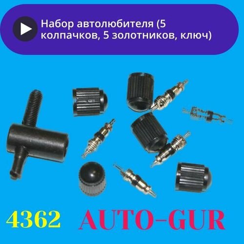 Набор для шин 5 колпачков пластиковый 5 ниппель-золотник ключ металлический в пенале удобно 260₽