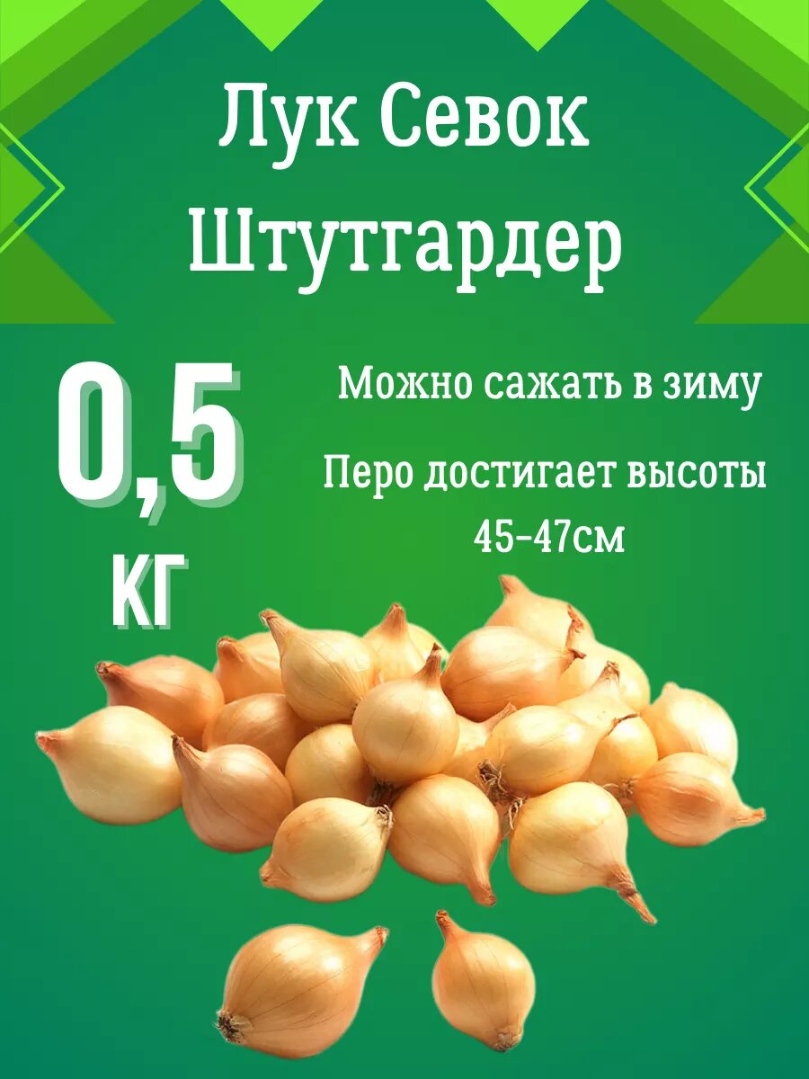 Лук севок Штутгартер Ризен 0.5 кг