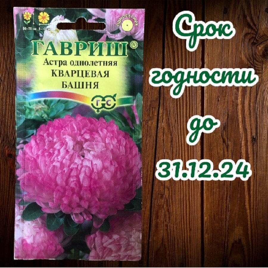 Астра Кварцевая башня цв. п 03г