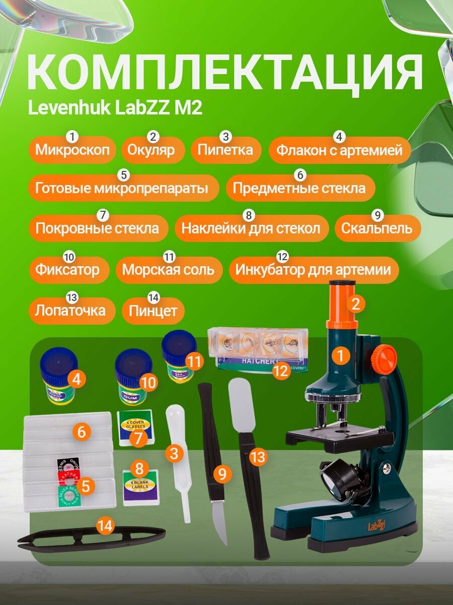 Микроскоп Levenhuk LabZZ M2 детский биологический микроскоп — фото 1