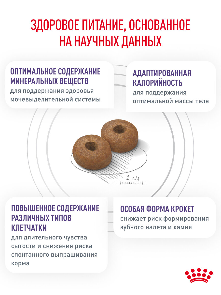 Сухой корм для собак мелких пород Royal Canin Neutered Adult Small Dog для стерилизованных и кастрированных, 3,5 кг — фото 1