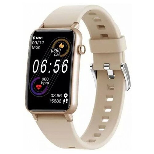 BandRate Smart BRSZX17GP 671500₽