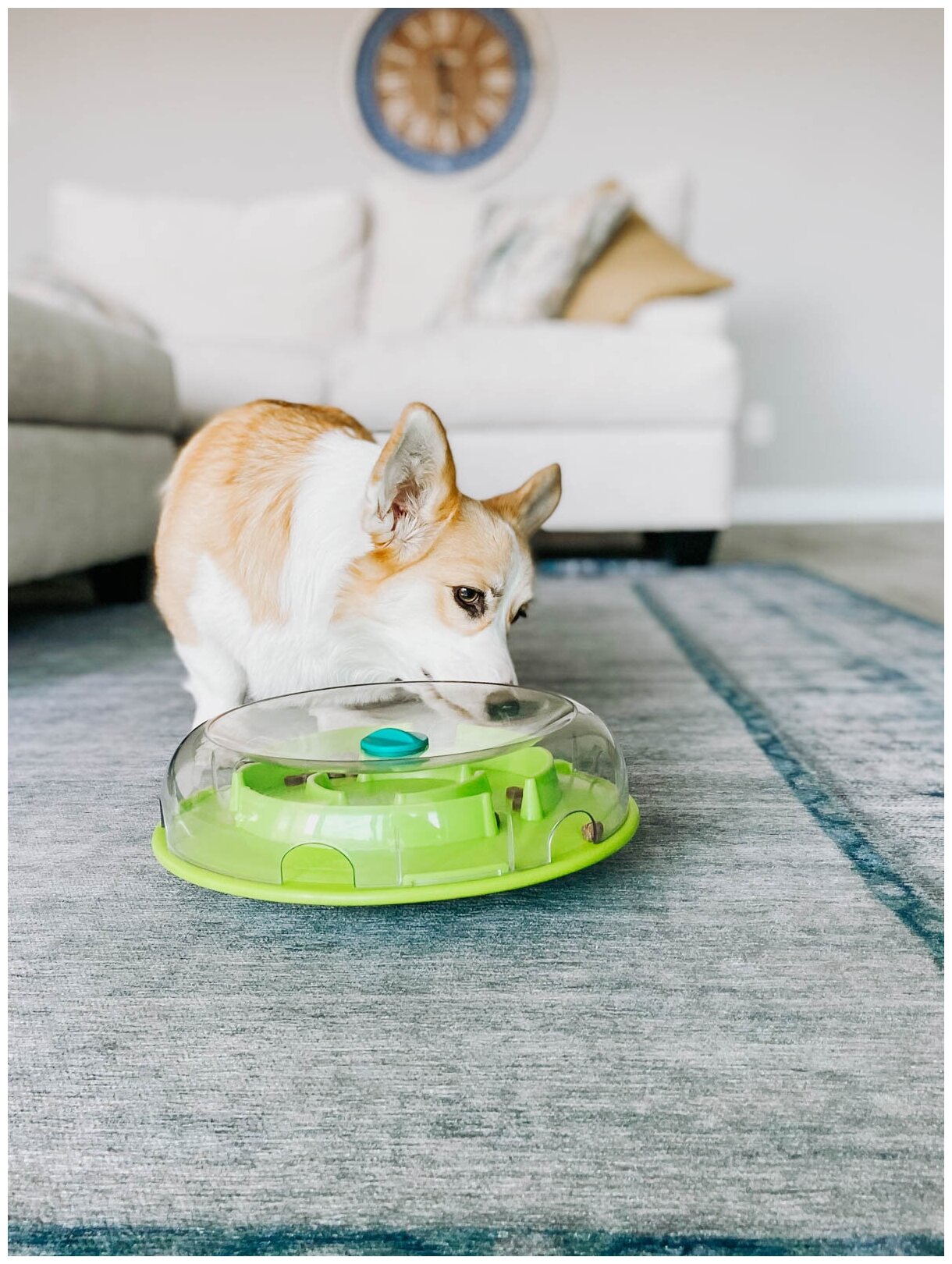 Игрушка для собак Petstages Миска-головоломка ОН Wobble Bowl раскачивающаяся для медленного поедания корма (0.5 кг) - фотография № 5