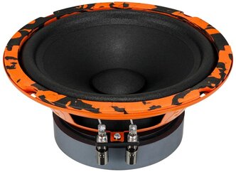 Автомобильная акустика DL Audio Gryphon Pro Midbass 165 (пара) Автомобильные колонки, динамики 16 см. (6,5")