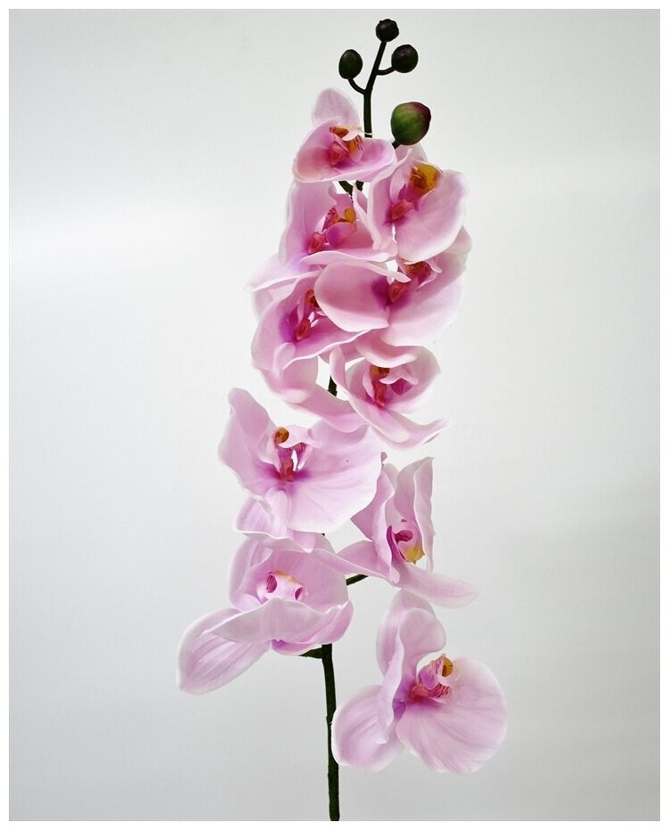 Орхидея Фаленопсис высотой 76 см с листьями из силикона.