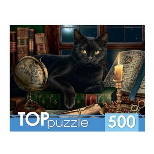 TOPpuzzle. Пазлы 500 элементов. ХТП500-6815 Черный кот пазлы рыжий кот toppuzzle 500 деталей невские маскарадные котята хтп500 5725