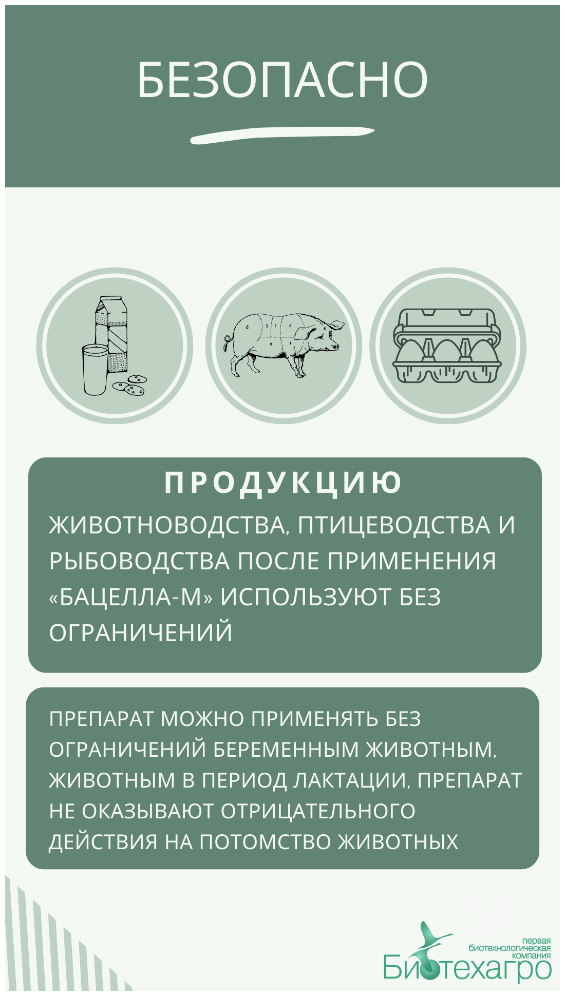 Кормовая добавка для животных -Бацелл М,1кг - фотография № 6