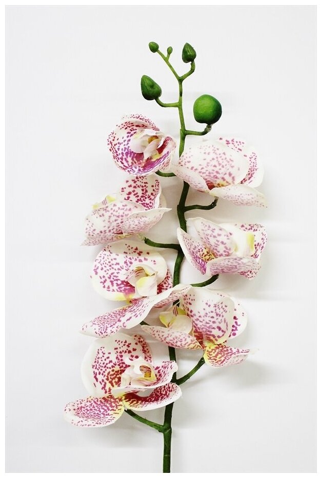 Орхидея Фаленопсис высотой 76 см с листьями из силикона.