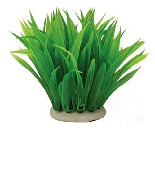 Растение Тритон пластмассовое 12 см Y12088124 куст