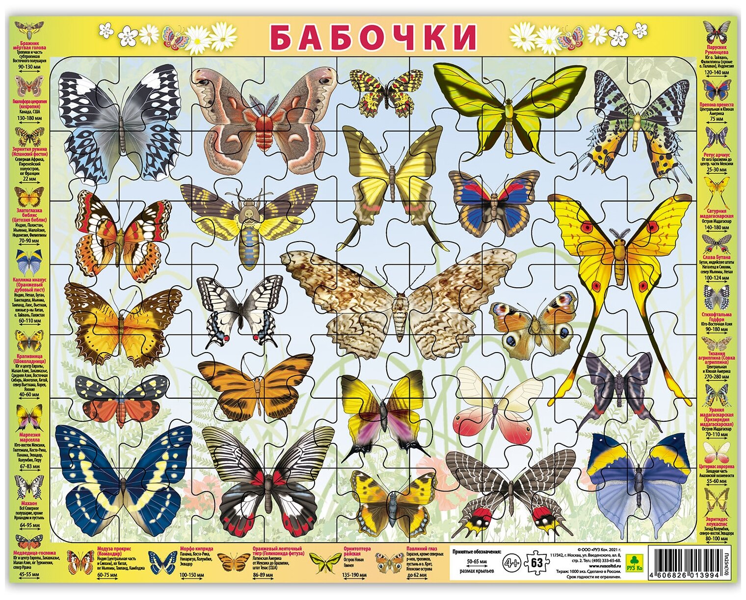 Бабочки. Детский пазл на подложке(36х28 см, 63 эл.)