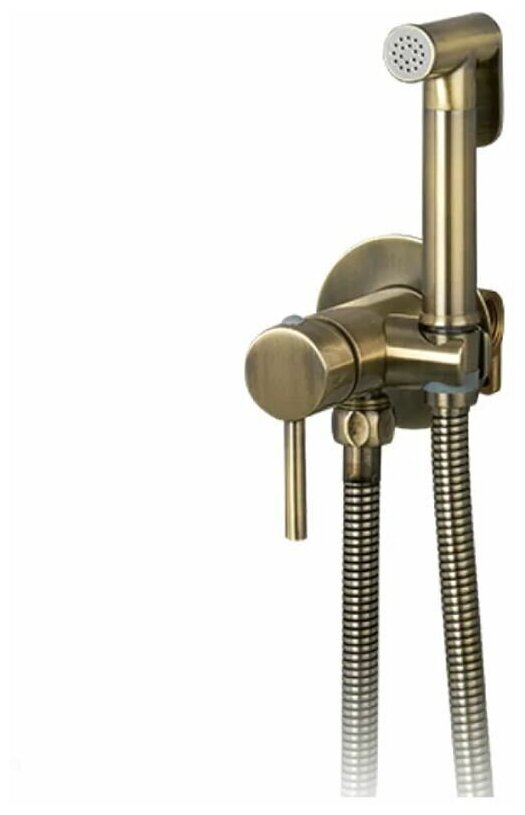фото Душ гигиенический со смесителем Цвет: бронза (встраиваемый)