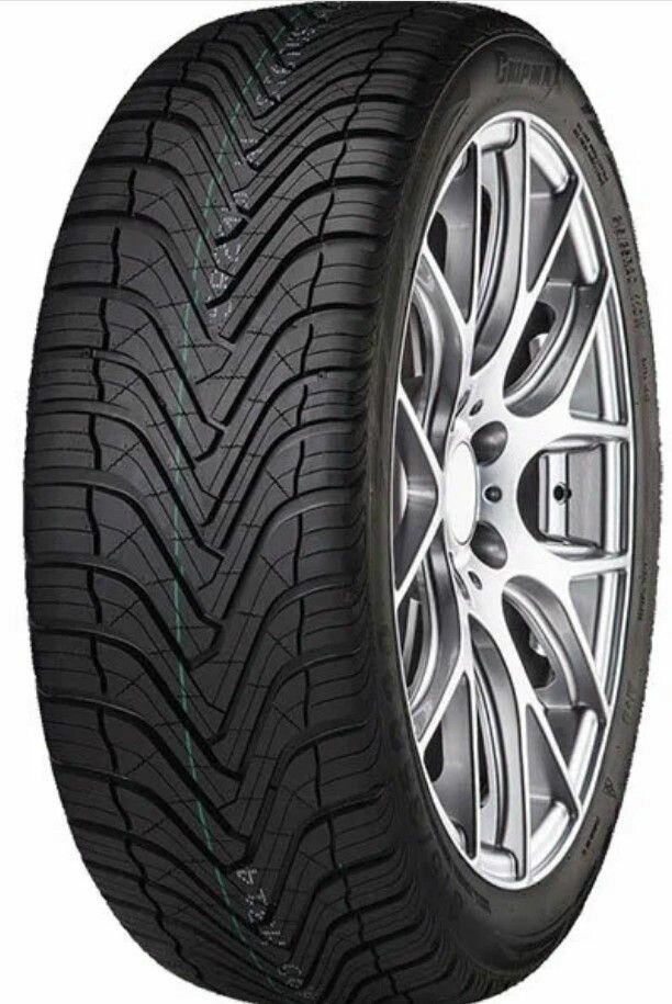 Шина Gripmax SureGrip A/S 265/50 R19 110W