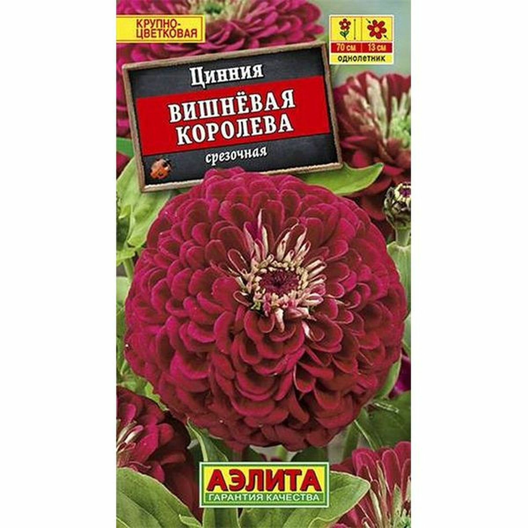 Семена Цинния Вишневая королева однолетник Аэлита 1 пачка - 0.3г семян