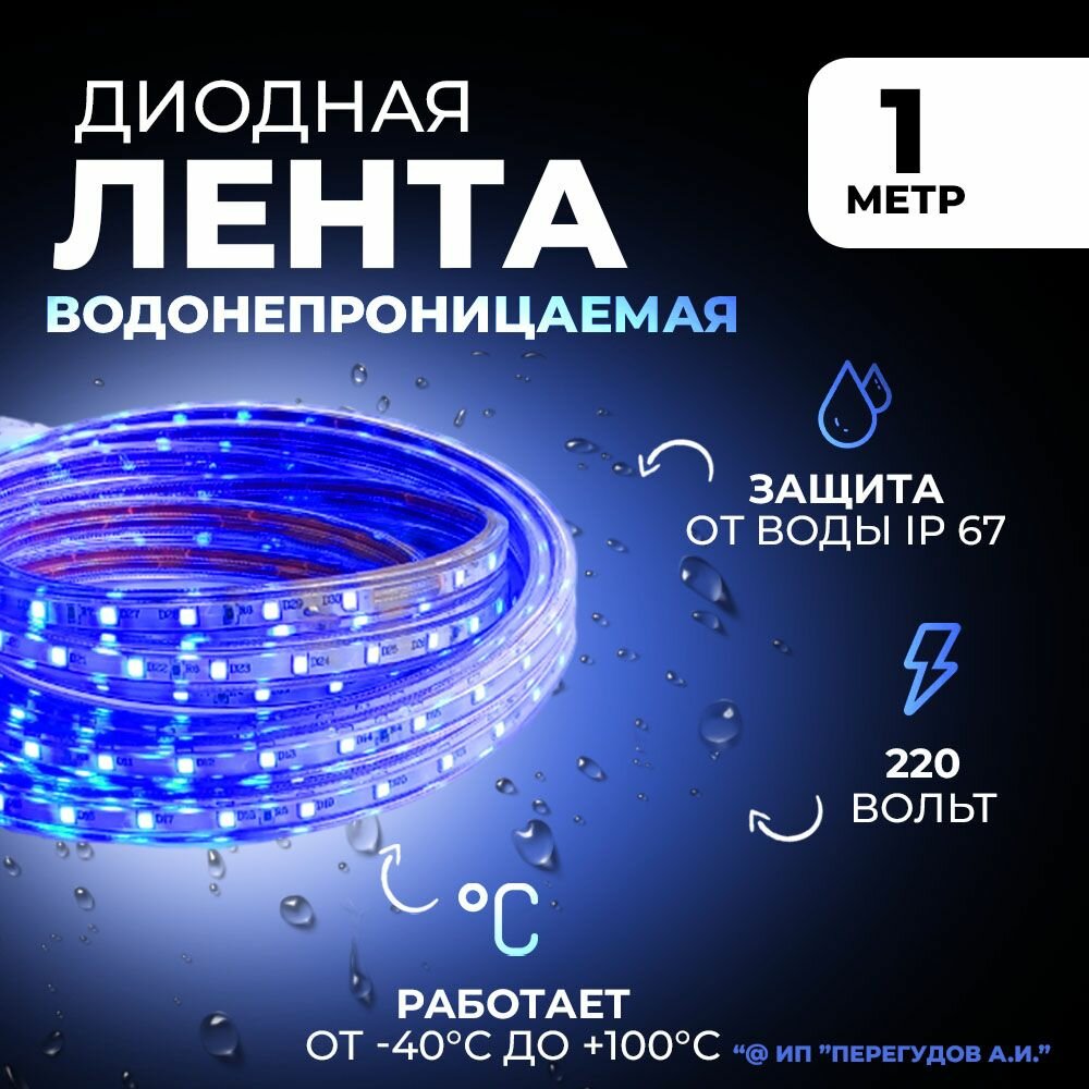Светодиодная лента водонепроницаемая 1 метр 220в синий свет