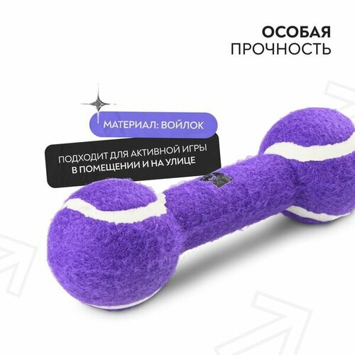 Игрушка Mr.Kranch для собак Гантель большая 20 см фиолетовая