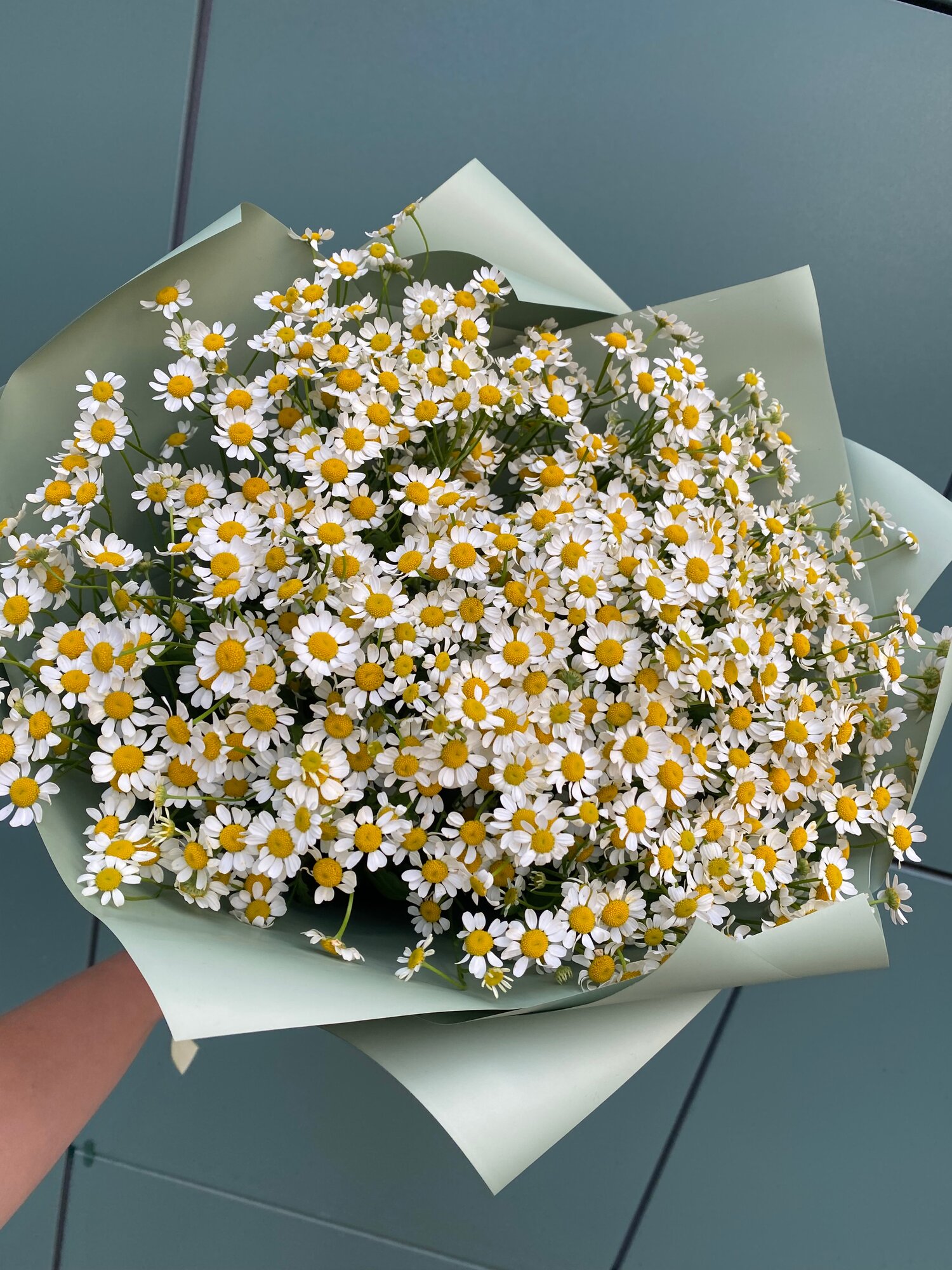 Букет из ромашек 