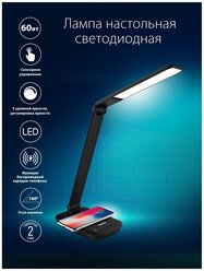 Светильник LED Camelion KD-825 C02 черный