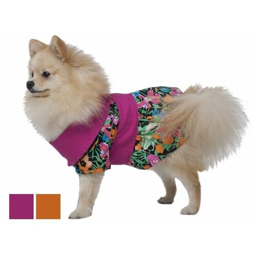 Платье DogVille нарядное на молнии демисезон, девочка 25см (цвет в ассортименте)