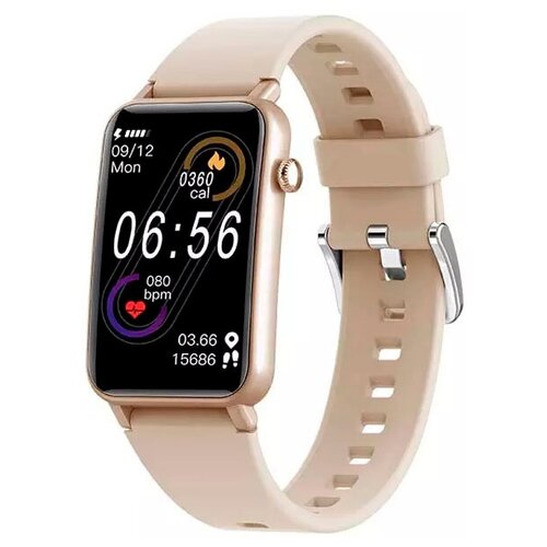 BandRate Smart BRSZX17GP 671500₽