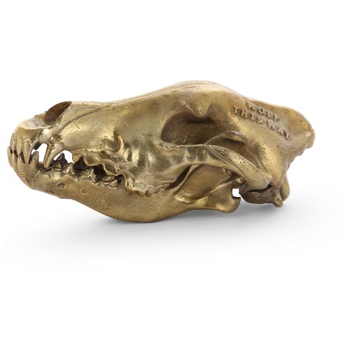 Seletti Настольная статуэтка Wolf Skull