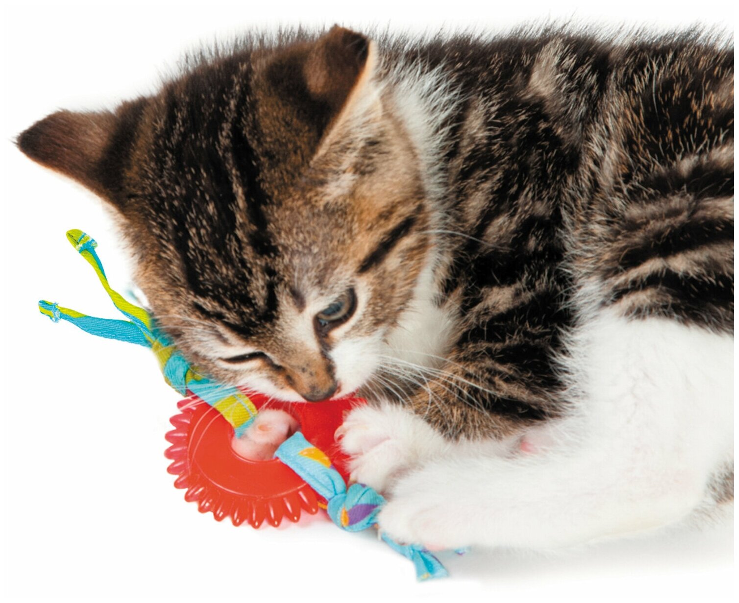 Petstages игрушка для кошек Dental "орка колесико" - фотография № 14