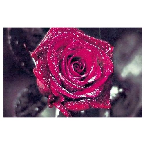 Goldhand Роза в капельках росы HCM098