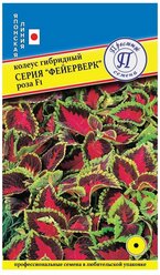 Семена/ Престиж семена / Семена цветов Колеус фейерверк роза F1/колеуса/Профессиональные