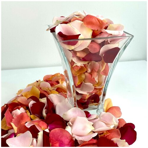 Лепестки роз Разноцветные живые / свадьбу /Для ванны/ Для фотосессии / 1 литр, Лэтуаль Flowers