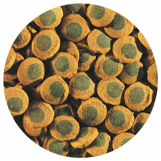 Tetra Pleco Spirulina Wafers корм для донных рыб с водорослями, 250 мл - фотография № 2