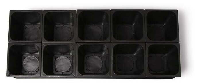Набор для рассады: стаканы по 1 л (10 шт.), поддон 61 × 23 см, чёрный - фотография № 6