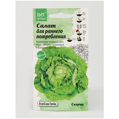 Салат Скорик 1 г АСТ / семена салата для проращивания / салат листовой для подоконника / зелень для балкона / для посадки и посева для дома
