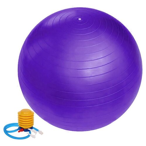 Мяч для фитнеса Sportage 65 см 800гр с насосом, фиолетовый мяч для фитнеса 65 см 800гр с насосом розовый фуксия