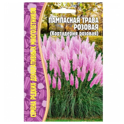 Семена Пампасной травы розовой (Кортадерия розовая) (0,01г)