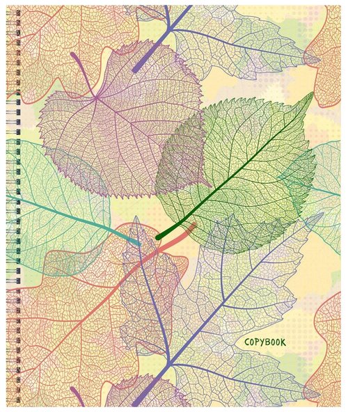 Тетрадь общая А5 60л, линия, гребень, обл. карт, Листопад,5диз. ТСЛ6077.