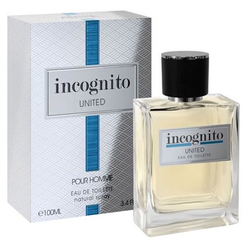 Art Parfum Мужской Incognito United Туалетная вода (edt) 100мл art parfum мужской incognito intense туалетная вода edt 100мл