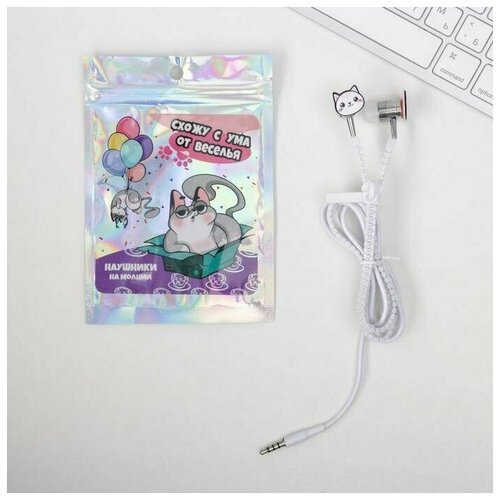 Наушники на молнии Схожу с ума от веселья 10 х 15 см 47600₽