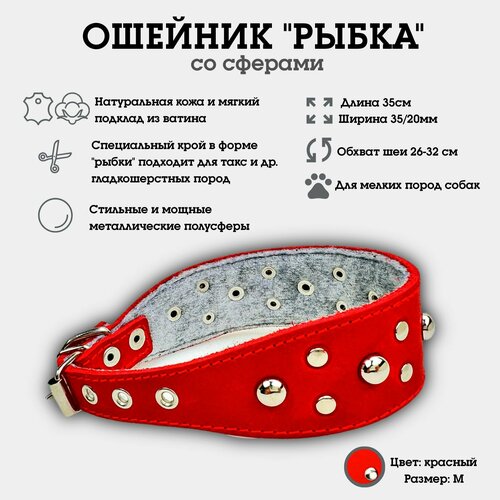 Ошейник "Селедка со сферами" из натуральной кожи и ватина M