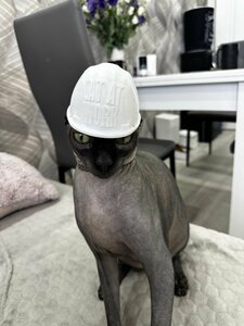 Основная фотография от вендора