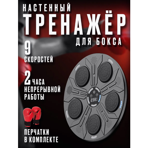 Тренажер для бокса музыкальный настенный 2890₽