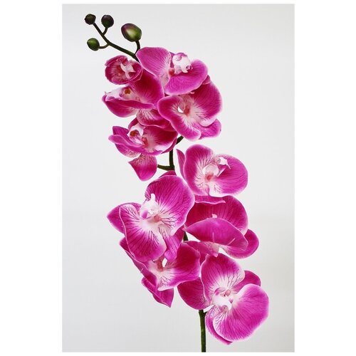 Орхидея Фаленопсис высотой 76 см с листьями из латекса.