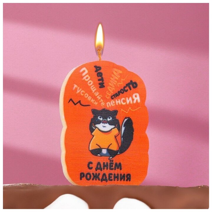 Свеча для торта "С днем рождения", кот, 6,5 см, коричневая 7761393
