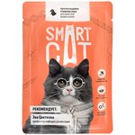 Корм Smart Cat для кошек и котят кусочки индейки в соусе, 85 г x 25 шт - изображение