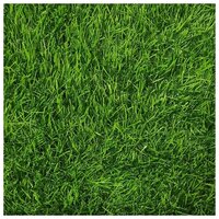 Трава искусственная "Eco Green" 35мм ворс.(2м х 1м)