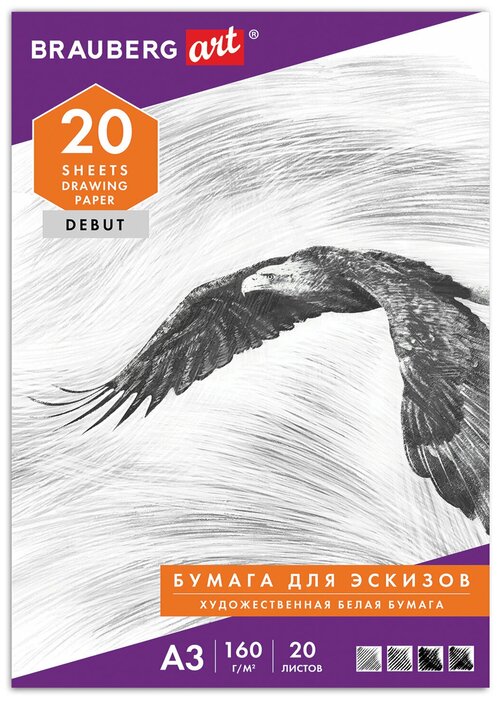 BRAUBERG Папка для рисования большого формата а3, 20 л, 160 г/м2, brauberg, 297х420 мм, орел , 125228