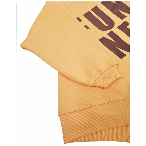 фото Толстовка (свитшот) для девочки "fun one", оранжевая, 134 magnus