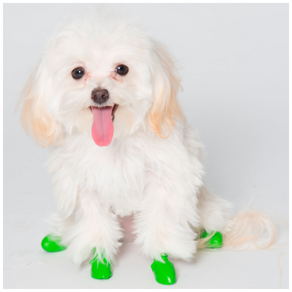 Обувь для собак Лапушки PawZ, Tiny, зеленый - фотография № 8