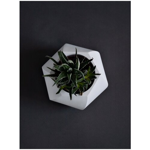 Кашпо из бетона для цветов 