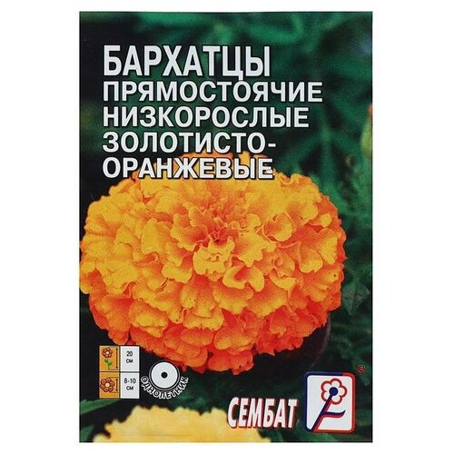 Семена цветов Бархатцы прямостоячий низкорослый золотисто-оранжевый, О, 0,1 г./В упаковке шт: 4