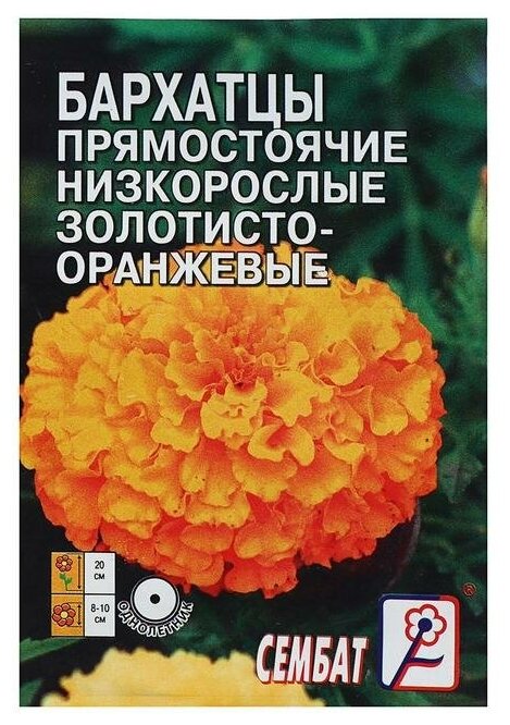 Семена цветов Бархатцы прямостоячий низкорослый золотисто-оранжевый О 01 г