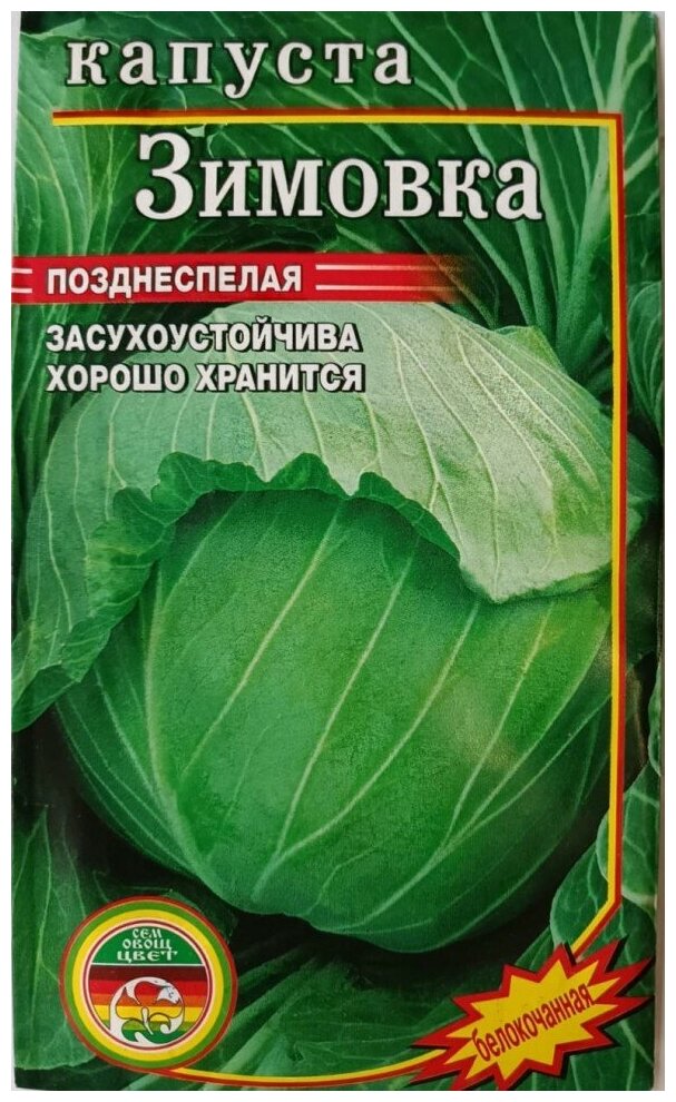 Семена Капуста белокочанная Зимовка засухоустойчива позднеспелая 0,5гр